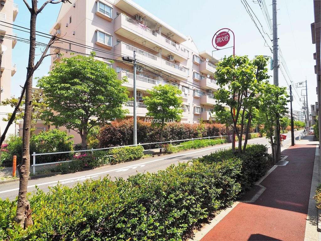 ステイツ西台フロンテージ　前面道路歩道